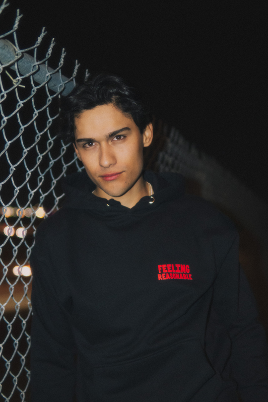 The Reasonable Hoodie
